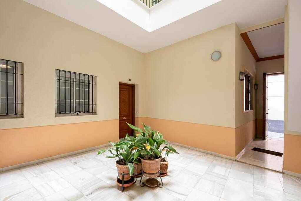 Monkeys Apartments 7Revueltas Deluxe เซบีญา ภายนอก รูปภาพ